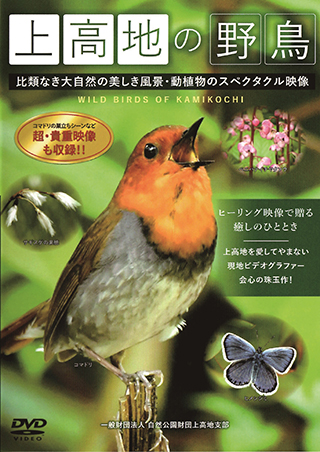 『上高地の野鳥』DVD＆Blu-ray