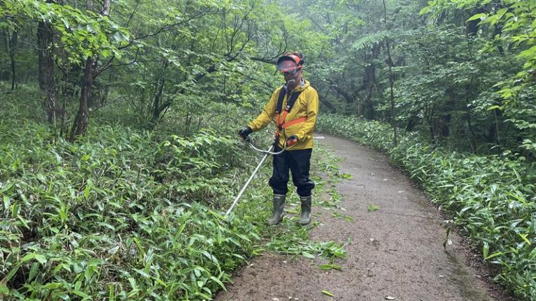 0381e1e6-65ab-4077-8537-c46a52e7ae36