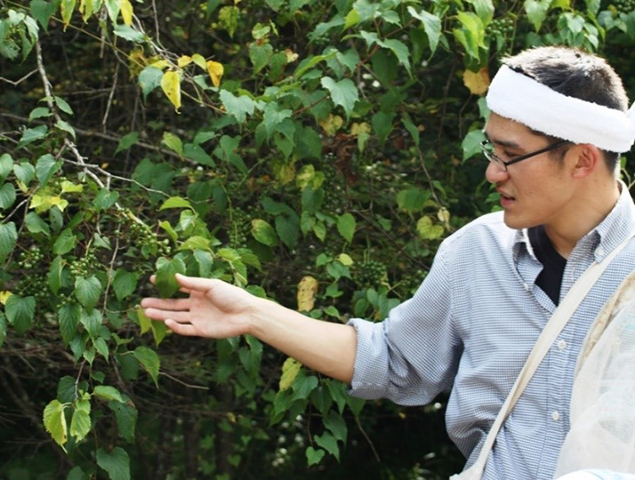 c4a412ec-9cb7-402e-a96d-748ffb6e61d4